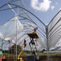 Factory supply crazy selling tunnel greenhouses and prices film